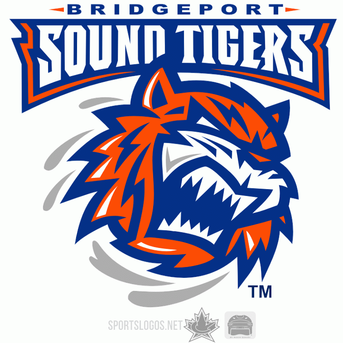 Bridgeport Sound Tigers iron ons